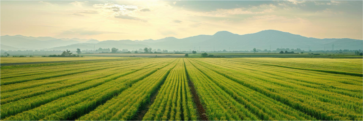 About Swastik Agro