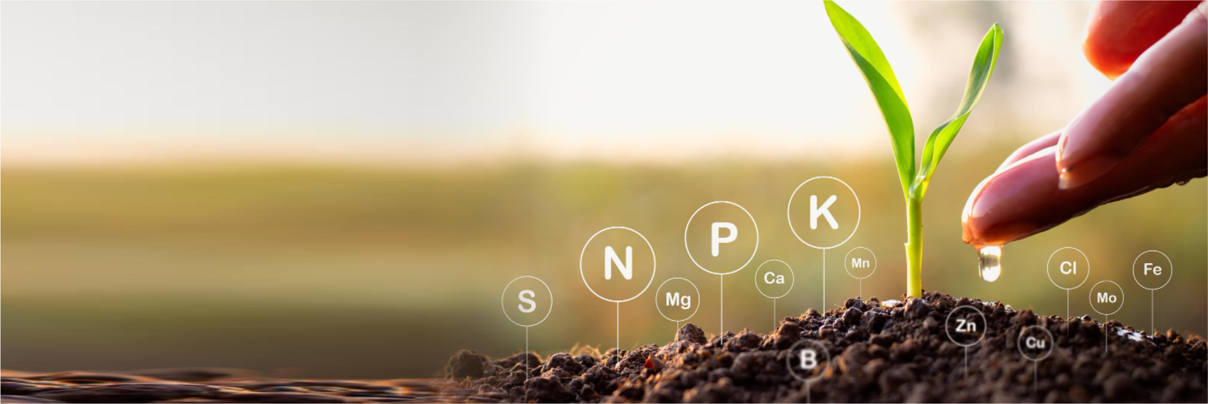 About Swastik Agro